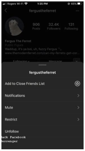 How Does Facebook Hack Get Your Password With a Messenger